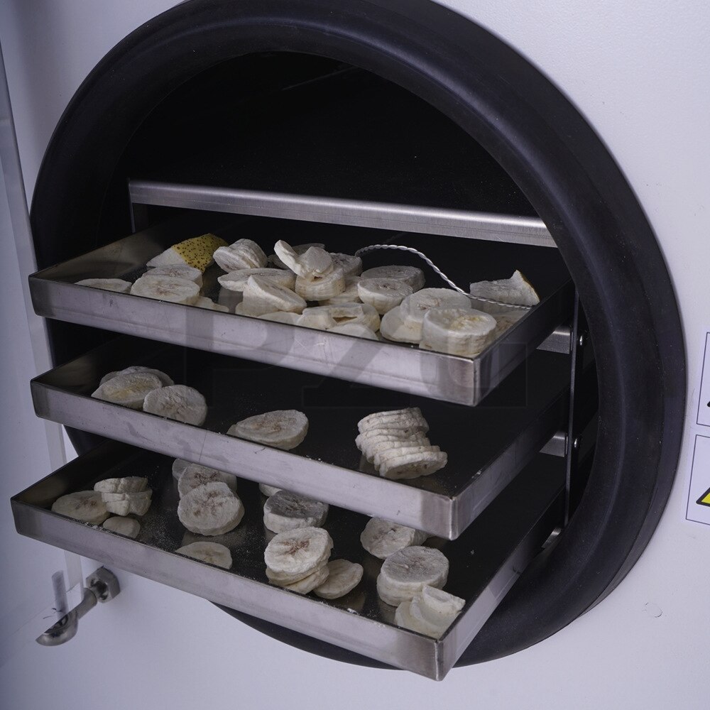 Vacuum Fruit Freeze Drying Dried Machines Mini Vegetables Lyophilizer Food Freezer Dryer