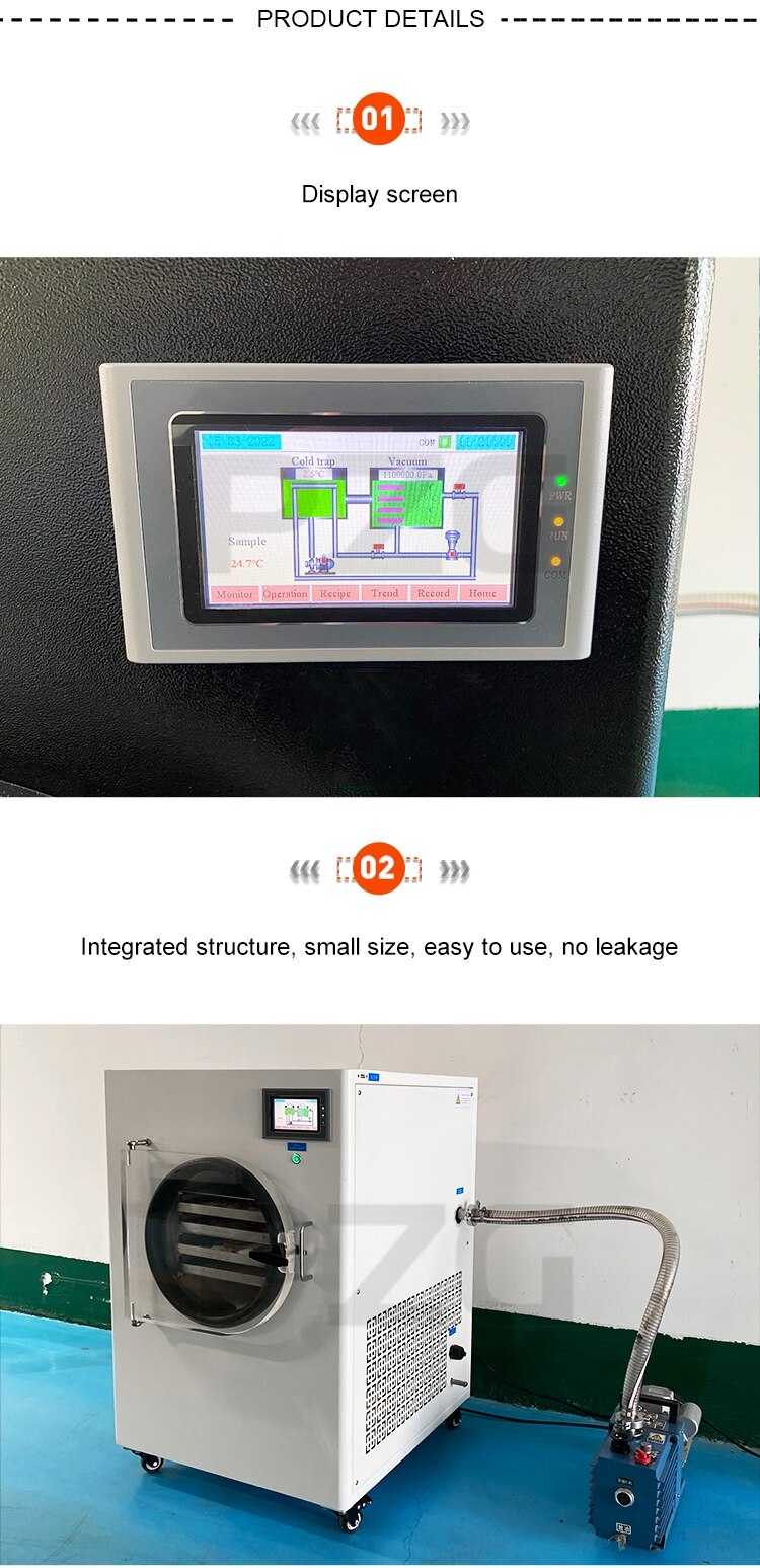 Vacuum Fruit Freeze Drying Dried Machines Mini Vegetables Lyophilizer Food Freezer Dryer