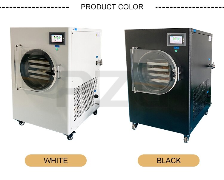 Vacuum Fruit Freeze Drying Dried Machines Mini Vegetables Lyophilizer Food Freezer Dryer
