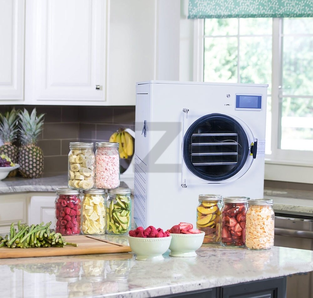 Vacuum Fruit Freeze Drying Dried Machines Mini Vegetables Lyophilizer Food Freezer Dryer