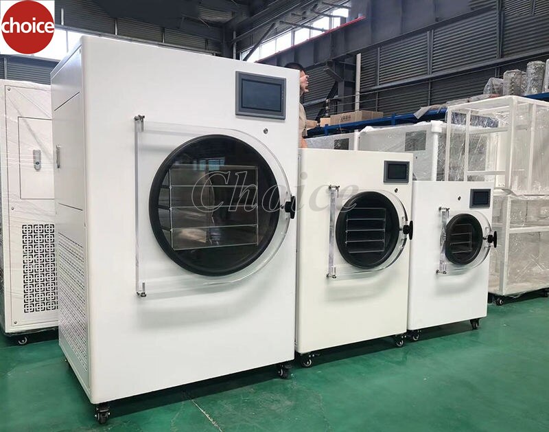 Vegetable Fruit Food Liofilizador Mini Vacuum Dried Home Use Freeze Dryer Lyophilizer With Vacuum Pump Machine For Sale Vegetable Fruit Food Liofilizador Mini Vacuum Dried Home Use Freeze Dryer Lyophilizer With Vacuum Pump Machine For Sale