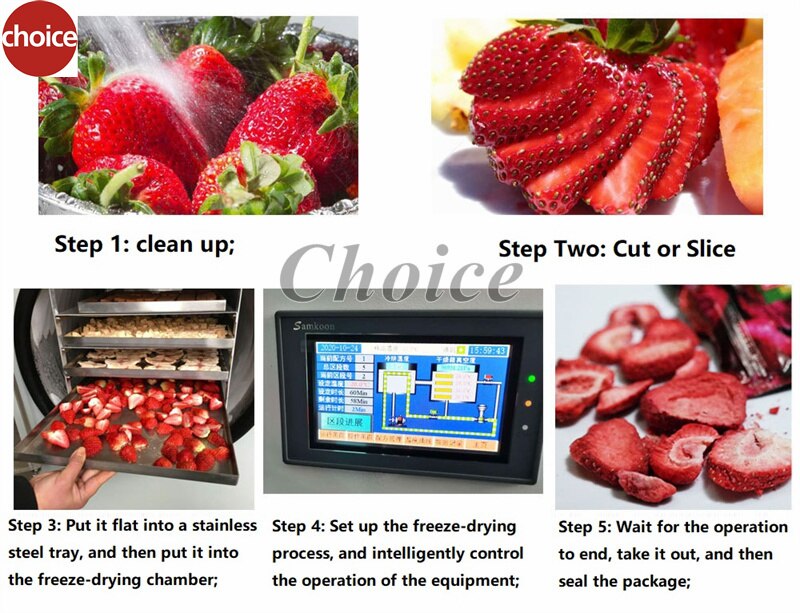 Vegetable Fruit Food Liofilizador Mini Vacuum Dried Home Use Freeze Dryer Lyophilizer With Vacuum Pump Machine For Sale Vegetable Fruit Food Liofilizador Mini Vacuum Dried Home Use Freeze Dryer Lyophilizer With Vacuum Pump Machine For Sale