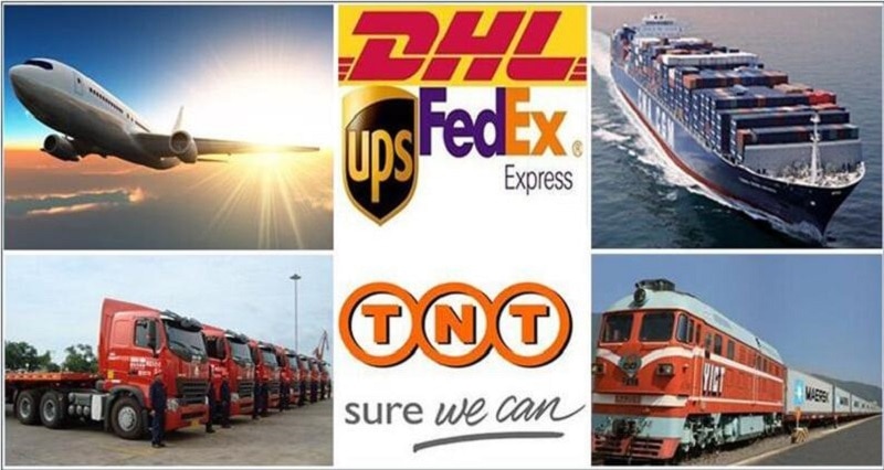 Vegetable Fruit Food Liofilizador Mini Vacuum Dried Home Use Freeze Dryer Lyophilizer With Vacuum Pump Machine For Sale Vegetable Fruit Food Liofilizador Mini Vacuum Dried Home Use Freeze Dryer Lyophilizer With Vacuum Pump Machine For Sale