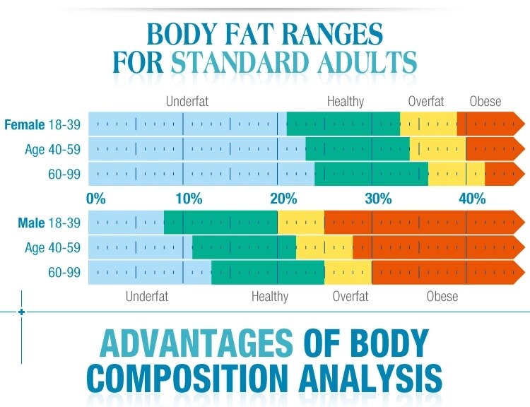 Body Composition Analyzer Fat Analyser High Quality 3D Scanner Measurement For Home Use and Commercial