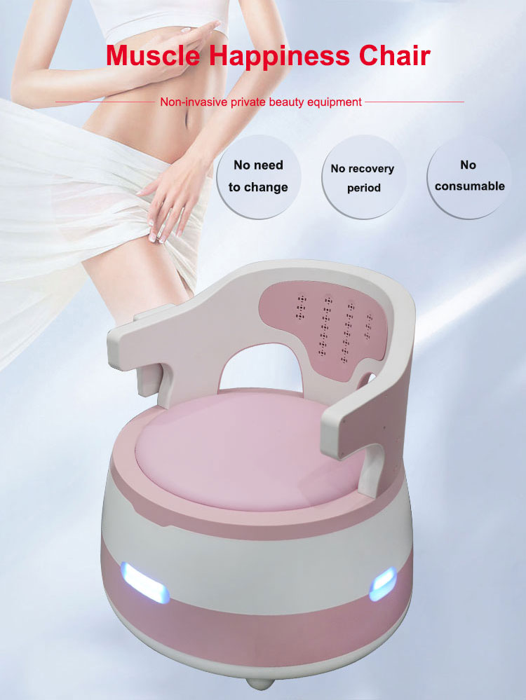 New Ems Painless Pelvic Floor Muscle Trainer Postpartum Repair Beauty Machine Magnetic Happy Chair with High Intensity