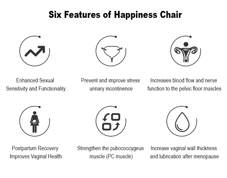 New Ems Painless Pelvic Floor Muscle Trainer Postpartum Repair Beauty Machine Magnetic Happy Chair with High Intensity