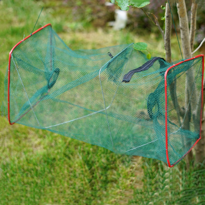 Shrimp Fish Trap Telescopic Folding Fishing Net Mesh Fishnet Cage with Feeder Creel Fordable Carpfishing Crayfish Catcher
